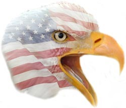 Patriotic bald eagle decal american flag US005 4