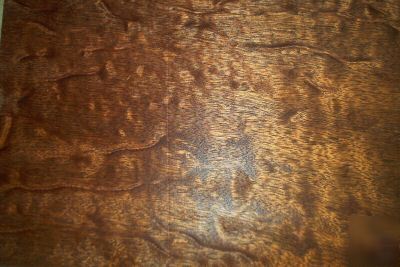 Pommele mahogany veneer 29 @ 9'' x 12'' [0880]