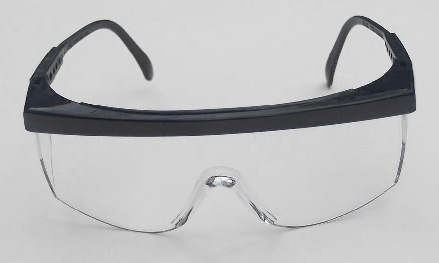 81 blaze clear lens safety glasses w/belt case U91001BA