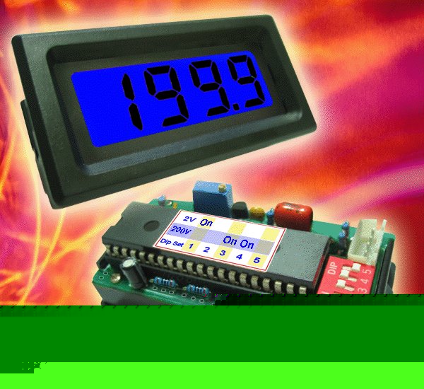Dc 200V blue lcd digital panel volt meter w/ regulator