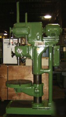 Cleereman 30