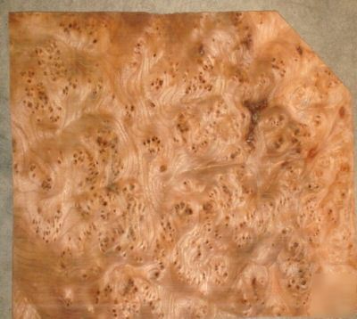 Carpathian elm burl veneer - 24 pcs / 23.8 sq ft 