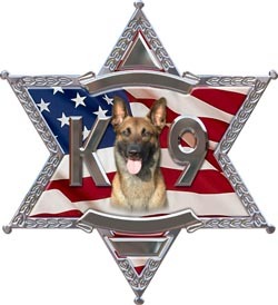Sheriff decal reflective 6
