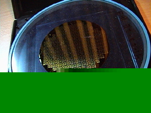 250+ hi tech engineering gallium gold chips on membrane