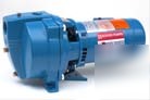 New 1 hp goulds J10S shallow well pump gould