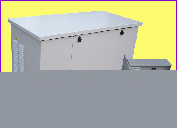 18 kw automatic lp/ng generator service entrance ats